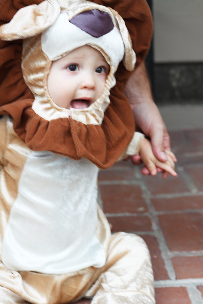 mommy blogger halloween costume